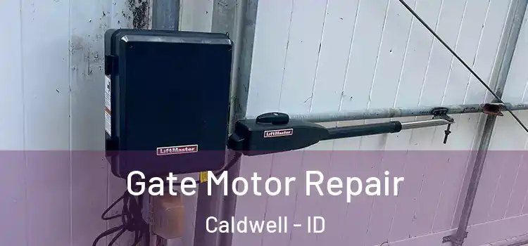 Gate Motor Repair Caldwell - ID